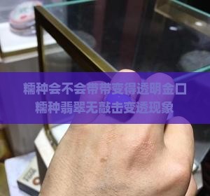 糯种会不会带带变得透明金口糯种翡翠无敲击变透现象