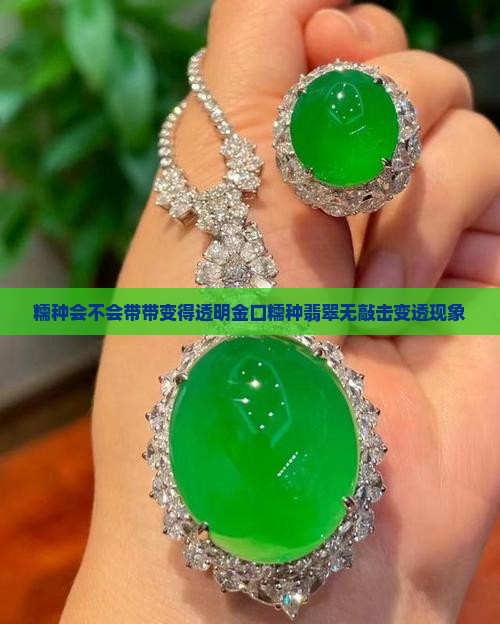 糯种会不会带带变得透明金口糯种翡翠无敲击变透现象