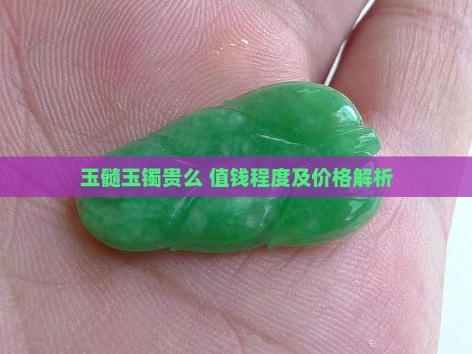 玉髓玉镯贵么 值钱程度及价格解析