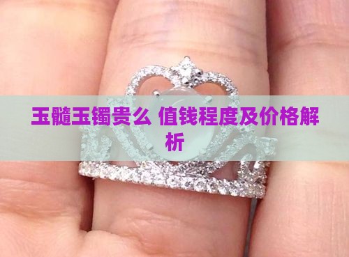 玉髓玉镯贵么 值钱程度及价格解析