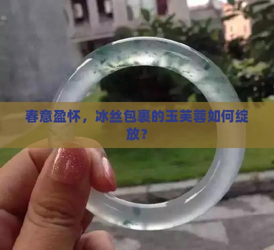 春意盈怀，冰丝包裹的玉芙蓉如何绽放？