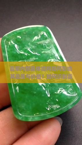 翡翠内部晶体结构如何影响其品质与价值？如何识别翡翠中的晶体特征？
