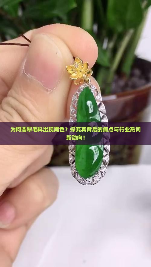 为何翡翠毛料出现黑色？探究其背后的痛点与行业热词新动向！