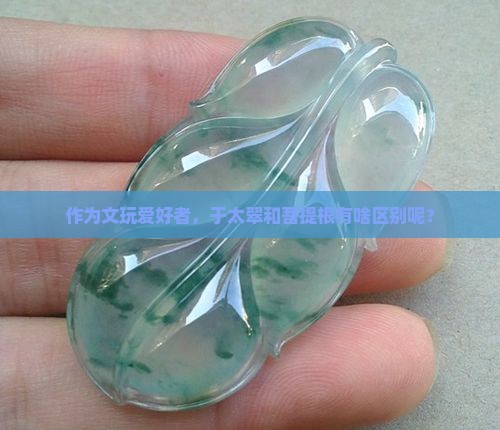 作为文玩爱好者，于太翠和菩提根有啥区别呢？