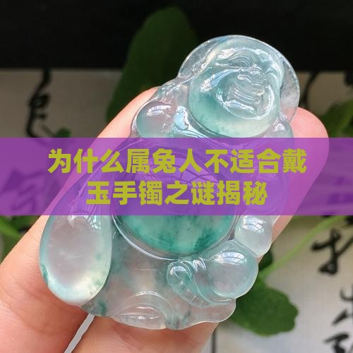 为什么属兔人不适合戴玉手镯之谜揭秘