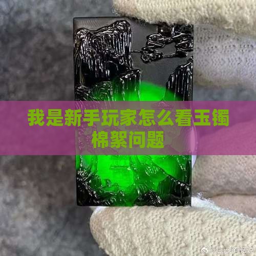 我是新手玩家怎么看玉镯棉絮问题