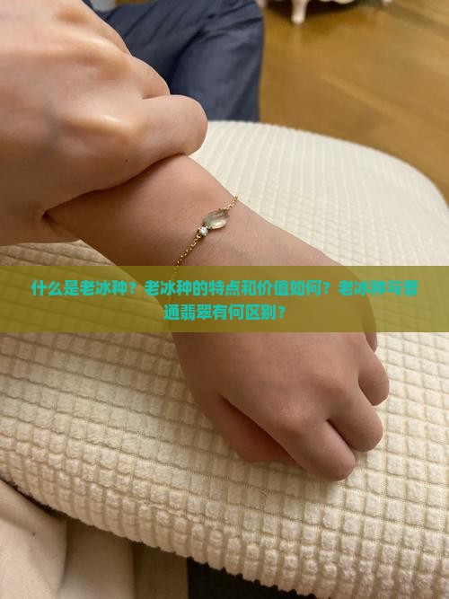 什么是老冰种？老冰种的特点和价值如何？老冰种与普通翡翠有何区别？