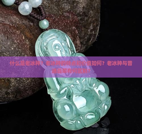 什么是老冰种？老冰种的特点和价值如何？老冰种与普通翡翠有何区别？