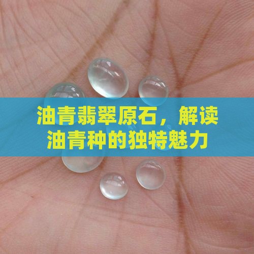 油青翡翠原石，解读油青种的独特魅力