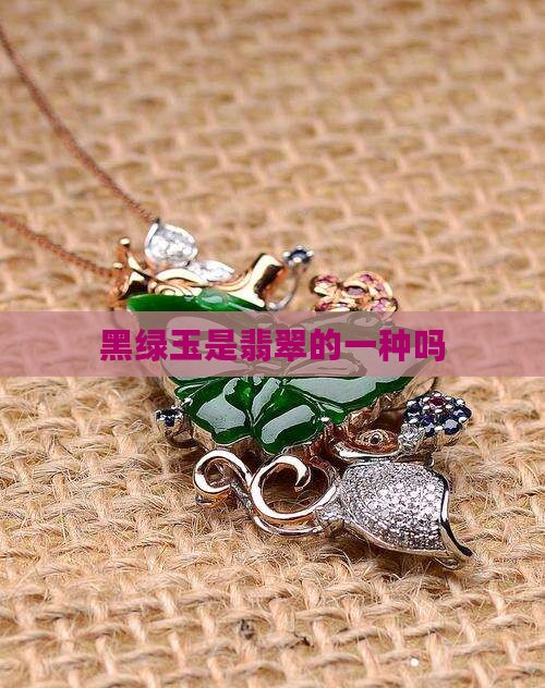 黑绿玉是翡翠的一种吗