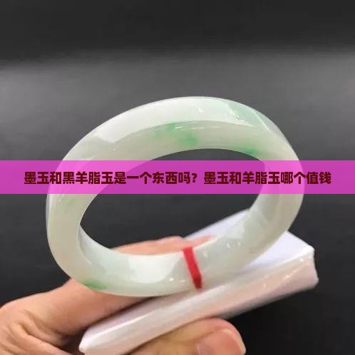 墨玉和黑羊脂玉是一个东西吗？墨玉和羊脂玉哪个值钱