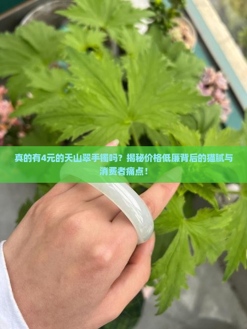 真的有4元的天山翠手镯吗？揭秘价格低廉背后的猫腻与消费者痛点！