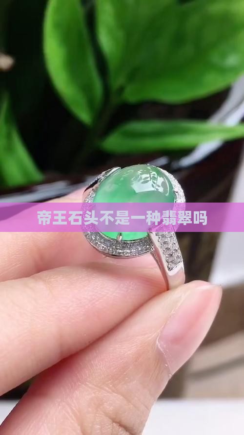 帝王石头不是一种翡翠吗