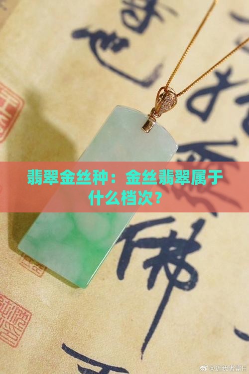 翡翠金丝种：金丝翡翠属于什么档次？