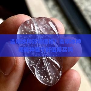 翡翠冰种好吗值钱？翡翠冰种和糯种哪个好值得买吗