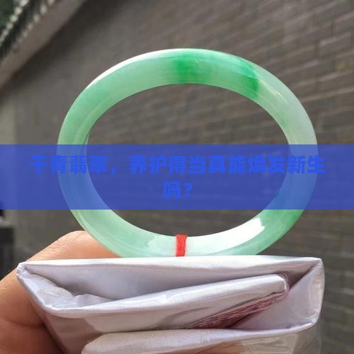 干青翡翠，养护得当真能焕发新生吗？