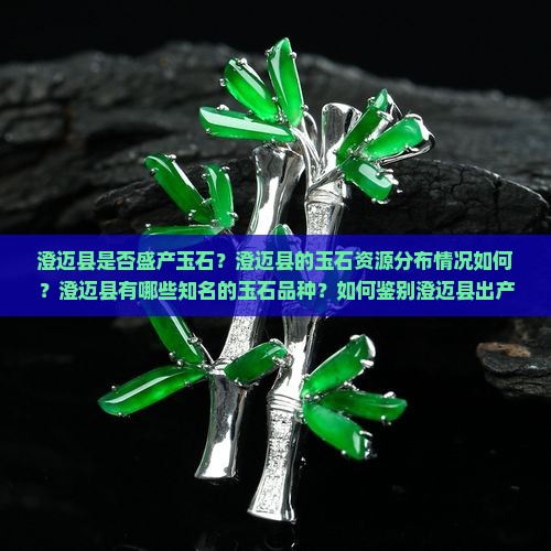 澄迈县是否盛产玉石？澄迈县的玉石资源分布情况如何？澄迈县有哪些知名的玉石品种？如何鉴别澄迈县出产的玉石真伪？