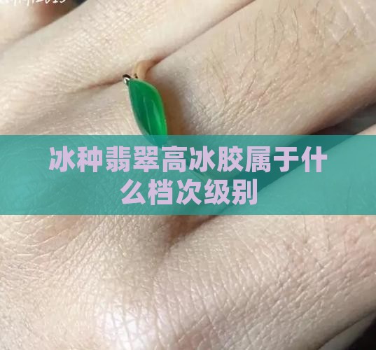 冰种翡翠高冰胶属于什么档次级别