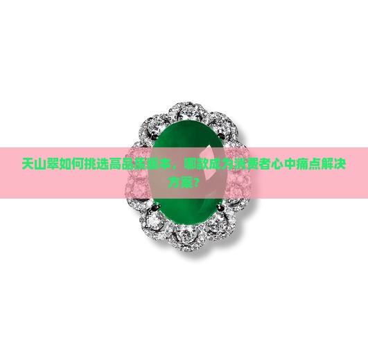 天山翠如何挑选高品质版本，哪款成为消费者心中痛点解决方案？