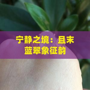 宁静之境：且末蓝翠象征韵