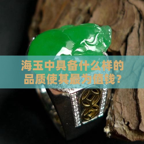 海玉中具备什么样的品质使其最为值钱？