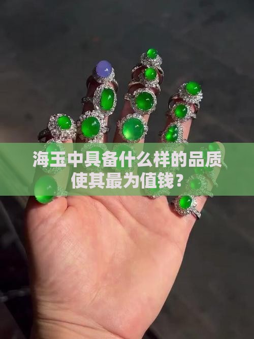 海玉中具备什么样的品质使其最为值钱？