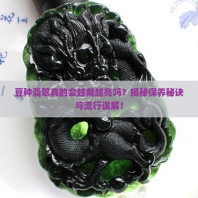 豆种翡翠真的会越戴越亮吗？揭秘保养秘诀与流行误解！