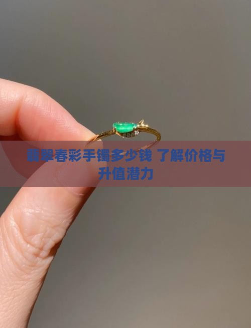 翡翠春彩手镯多少钱 了解价格与升值潜力
