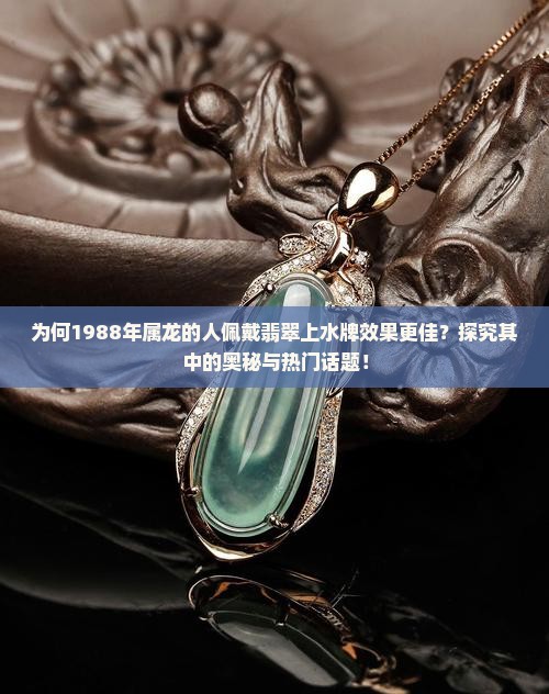 为何1988年属龙的人佩戴翡翠上水牌效果更佳？探究其中的奥秘与热门话题！