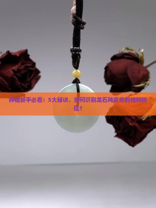 种植新手必看：5大秘诀，如何识别龙石种皮壳的独特特征？