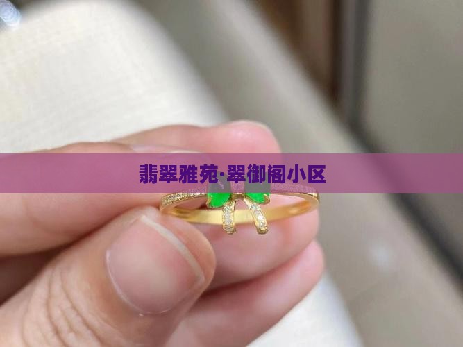 翡翠雅苑·翠御阁小区