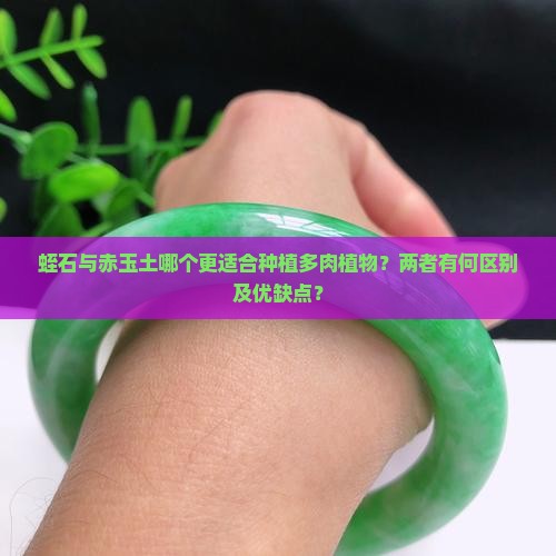 蛭石与赤玉土哪个更适合种植多肉植物？两者有何区别及优缺点？