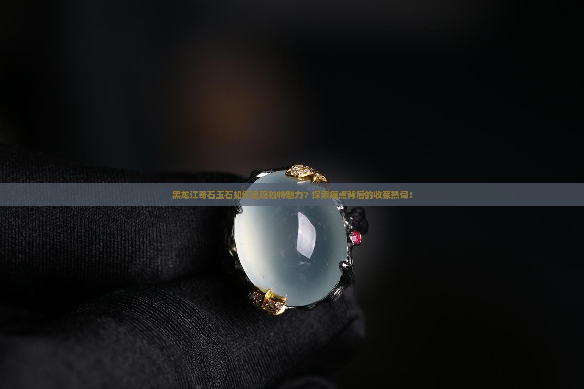 黑龙江奇石玉石如何呈现独特魅力？探索痛点背后的收藏热词！