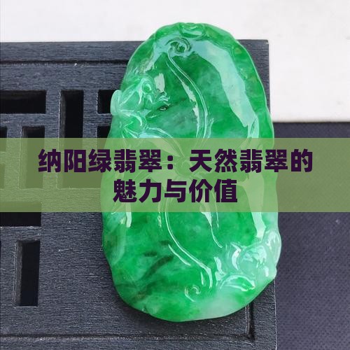 纳阳绿翡翠：天然翡翠的魅力与价值