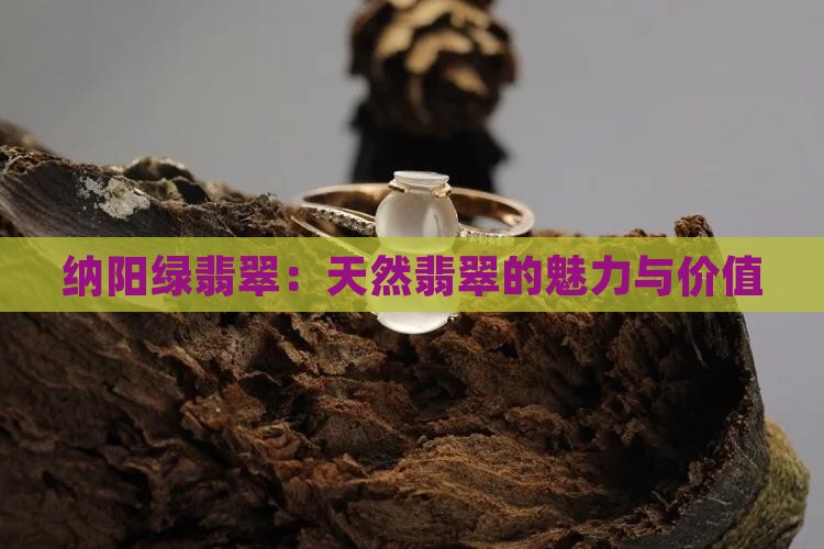纳阳绿翡翠：天然翡翠的魅力与价值