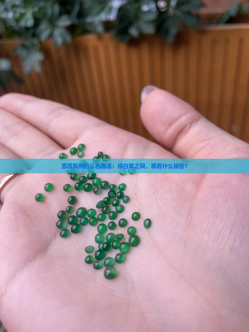 西双版纳的三色奇遇：绿白紫之间，藏着什么秘密？