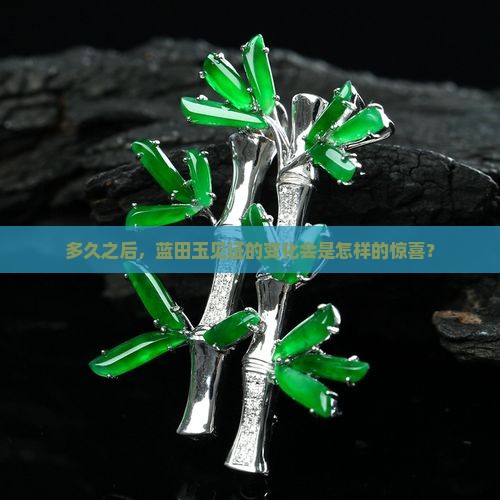 多久之后，蓝田玉见证的变化会是怎样的惊喜？