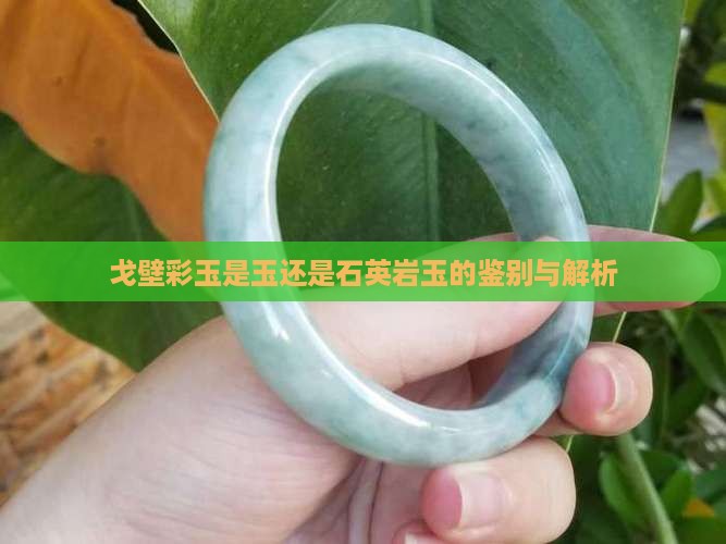 戈壁彩玉是玉还是石英岩玉的鉴别与解析