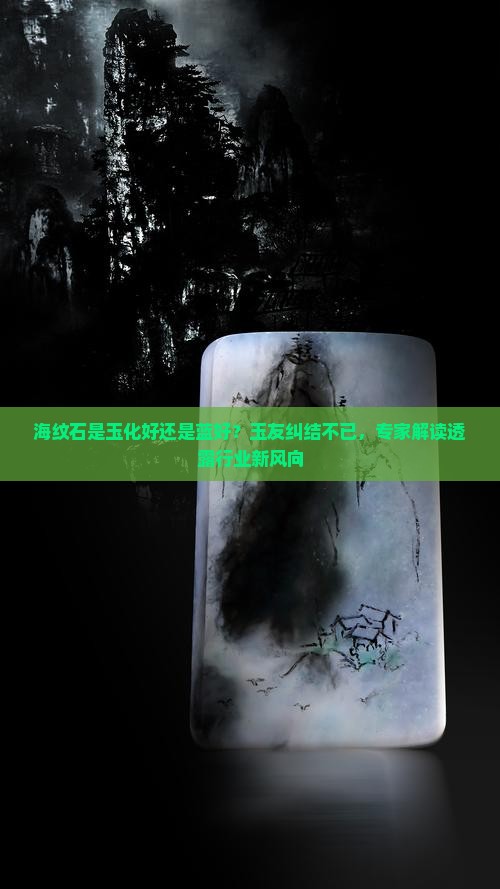 海纹石是玉化好还是蓝好？玉友纠结不已，专家解读透露行业新风向
