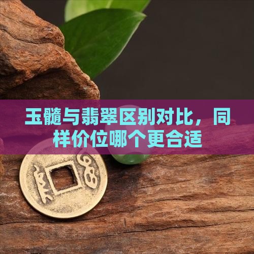 玉髓与翡翠区别对比，同样价位哪个更合适