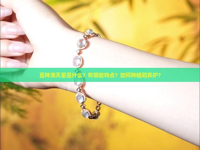 豆种满天星是什么？有哪些特点？如何种植和养护？