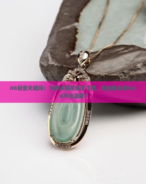 00后雪天疑问：为何冰飘花满天飞舞，我的棉衣却hold不住温暖？