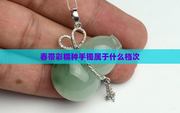 春带彩糯种手镯属于什么档次