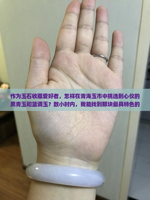 作为玉石收藏爱好者，怎样在青海玉市中挑选到心仪的黑青玉和蓝调玉？数小时内，我能找到那块最具特色的青海美玉吗？