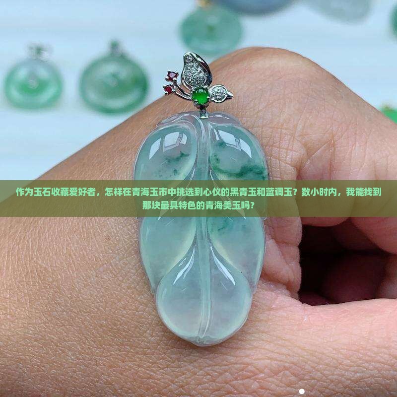 作为玉石收藏爱好者，怎样在青海玉市中挑选到心仪的黑青玉和蓝调玉？数小时内，我能找到那块最具特色的青海美玉吗？