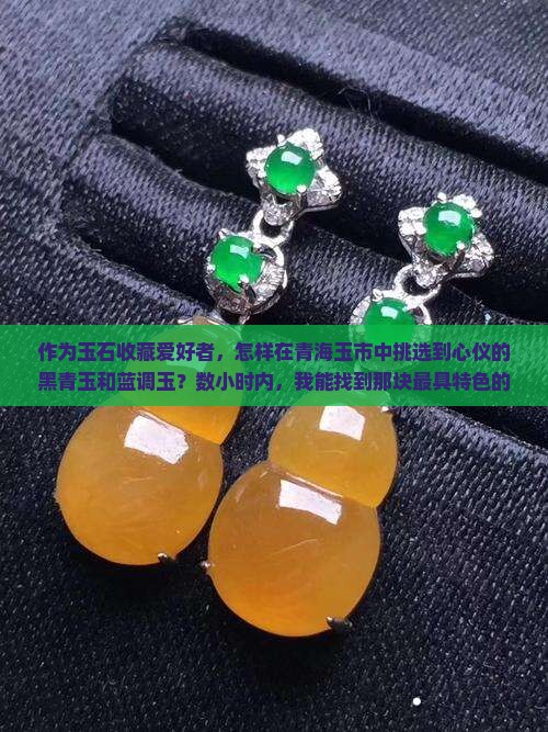 作为玉石收藏爱好者，怎样在青海玉市中挑选到心仪的黑青玉和蓝调玉？数小时内，我能找到那块最具特色的青海美玉吗？