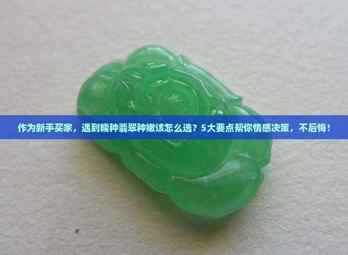 作为新手买家，遇到糯种翡翠种嫩该怎么选？5大要点帮你情感决策，不后悔！