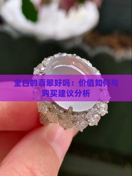 全白的翡翠好吗：价值如何与购买建议分析