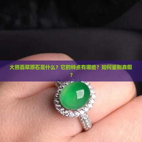 大熊翡翠原石是什么？它的特点有哪些？如何鉴别真假？