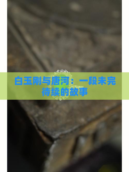 白玉刚与唐河：一段未完待续的故事